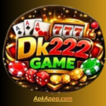 DK222 Game