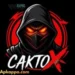 Caxto Panel FF